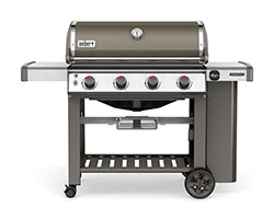 Backyard BBQ Store Images